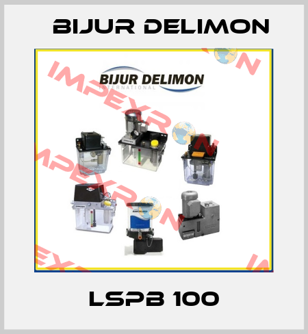 LSPB 100 Bijur Delimon