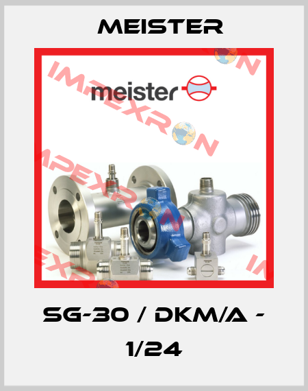 SG-30 / DKM/A - 1/24 Meister