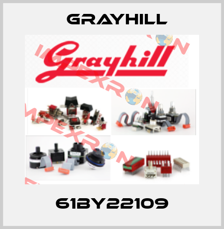 61BY22109 Grayhill