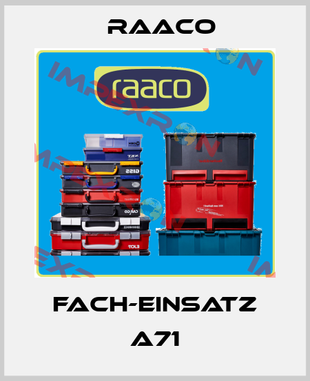Fach-Einsatz A71 Raaco