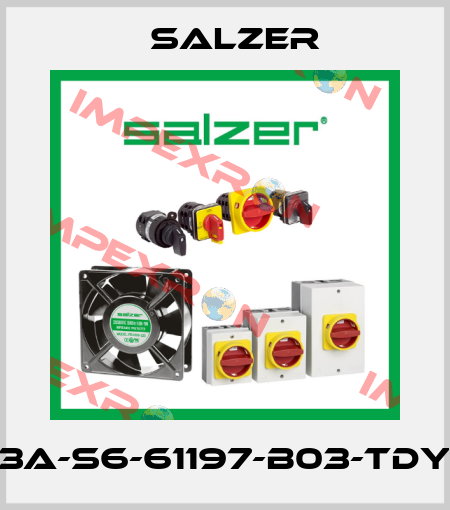 63A-S6-61197-B03-TDYR Salzer