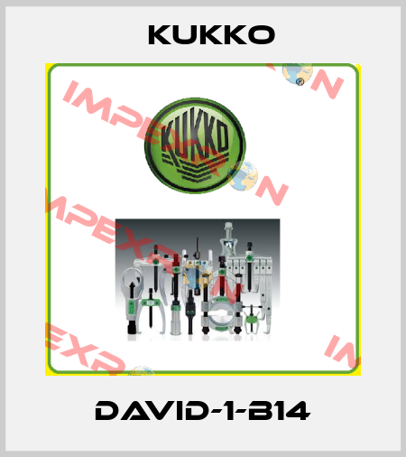 David-1-B14 KUKKO