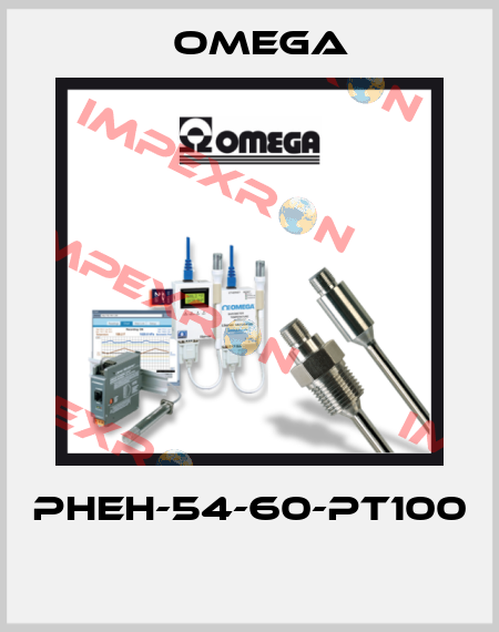 PHEH-54-60-PT100  Omega