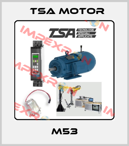 M53 TSA Motor