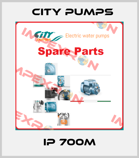 IP 700M City Pumps