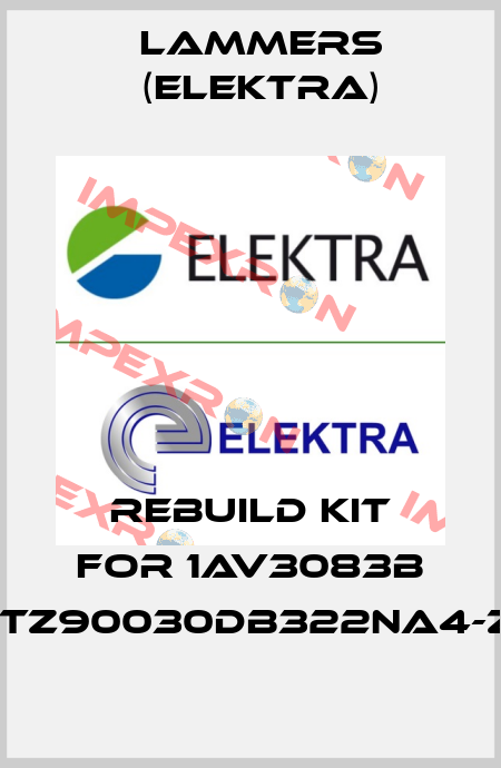 Rebuild kit for 1AV3083B 1TZ90030DB322NA4-Z Lammers (Elektra)