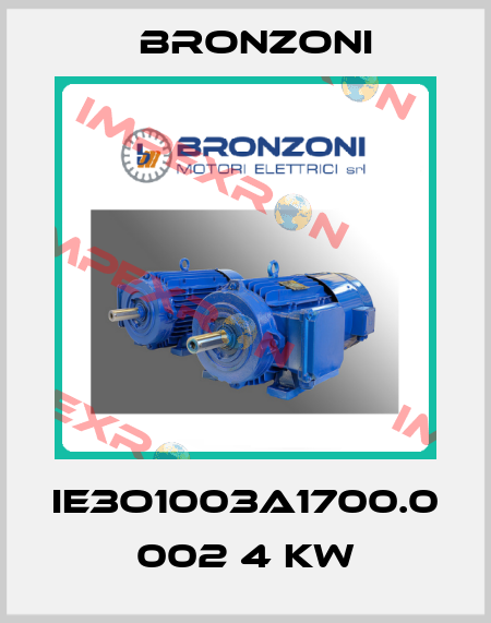 IE3O1003A1700.0 002 4 kW Bronzoni