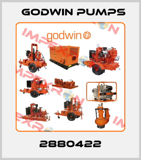 2880422 Godwin Pumps