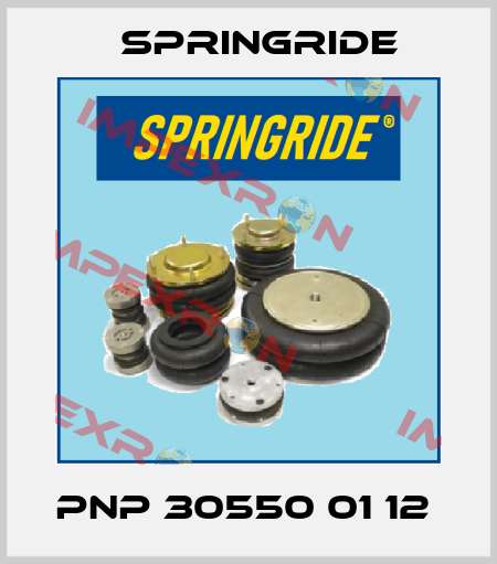 PNP 30550 01 12  Springride