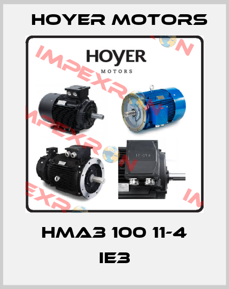 HMA3 100 11-4 IE3 Hoyer Motors
