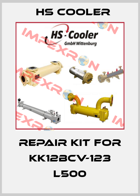 repair kit for KK12BCV-123 L500 HS Cooler