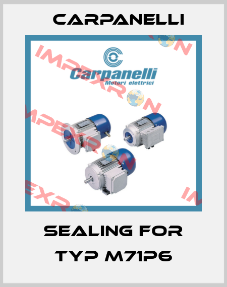 Sealing For Typ M71P6 Carpanelli