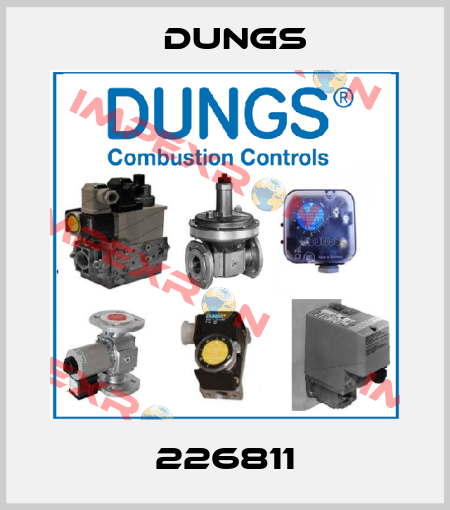 226811 Dungs