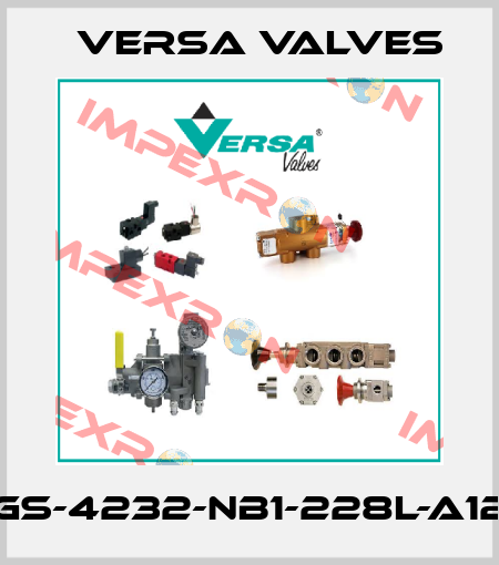 CGS-4232-NB1-228L-A120 Versa Valves