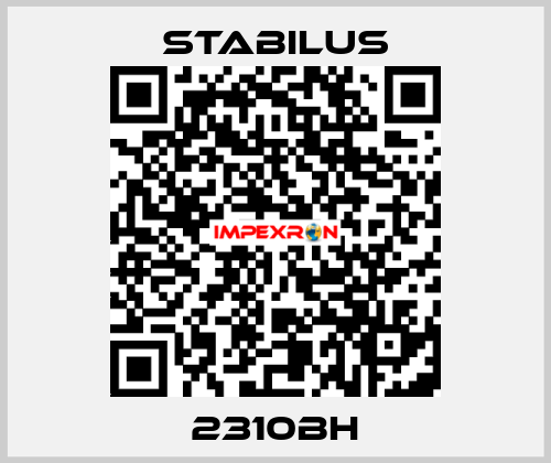 2310BH Stabilus