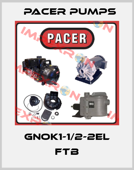 GNOK1-1/2-2EL FTB Pacer Pumps