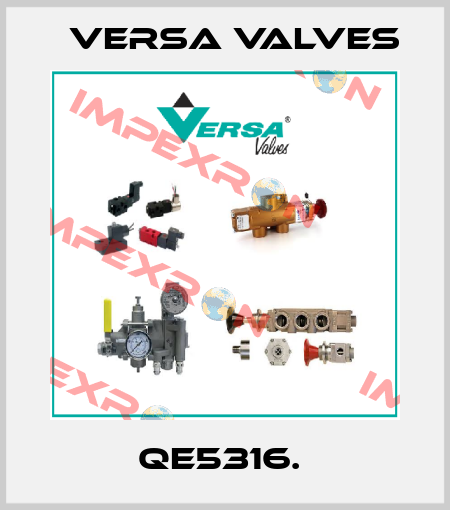 QE5316.  Versa Valves