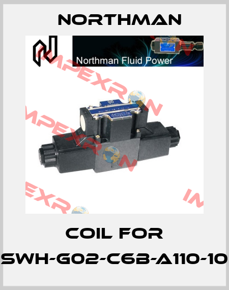 Coil for SWH-G02-C6B-A110-10 Northman