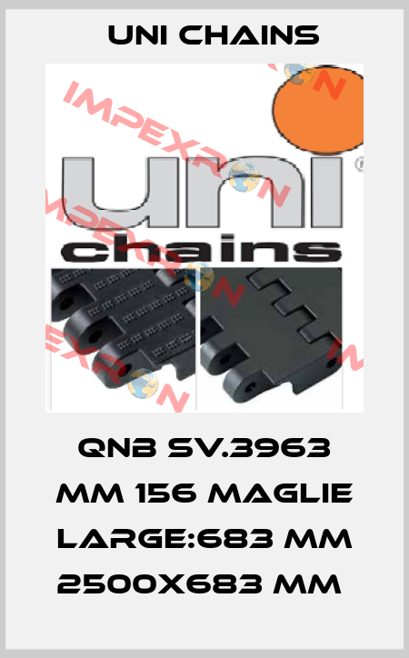 QNB SV.3963 MM 156 MAGLIE LARGE:683 MM 2500X683 MM  Uni Chains