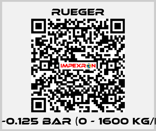 0 -0.125 BAR (0 - 1600 KG/H) Rueger