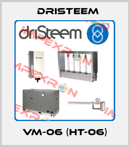 VM-06 (HT-06) DRISTEEM