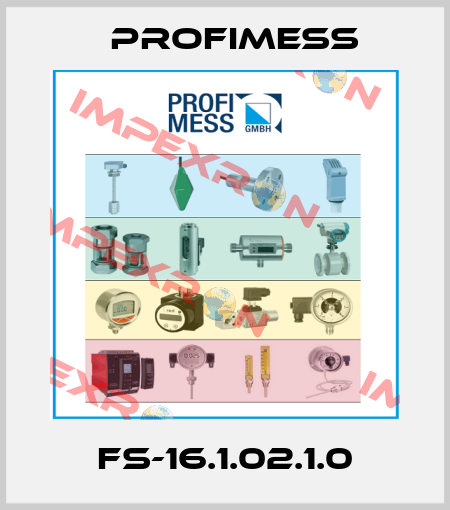 FS-16.1.02.1.0 Profimess