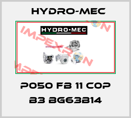 P050 FB 11 C0P B3 BG63B14 Hydro-Mec