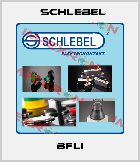 BFLI Schlebel