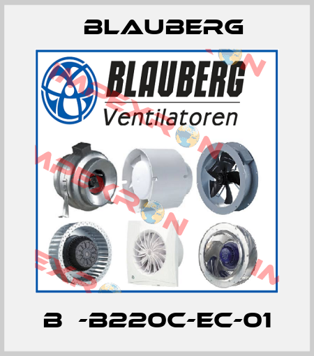 BС-B220C-EC-01 Blauberg