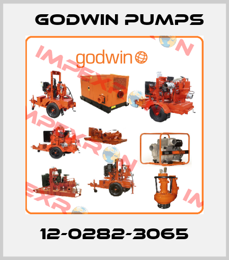 12-0282-3065 Godwin Pumps
