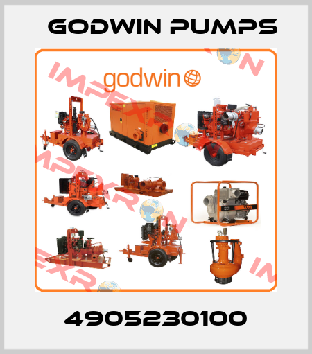 4905230100 Godwin Pumps
