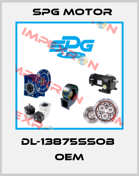 DL-13875SSOB  OEM Spg Motor