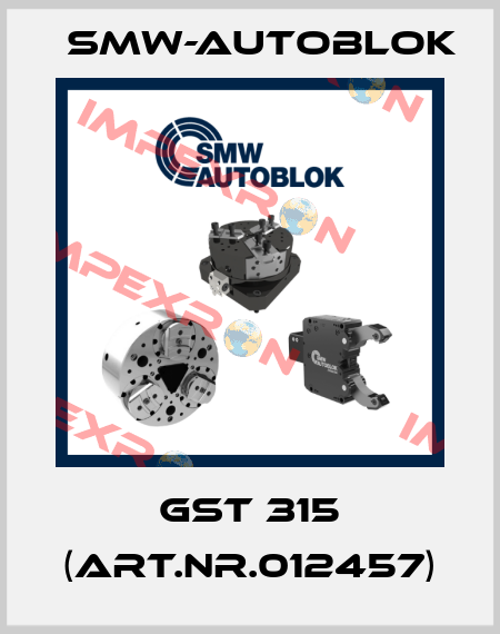 GST 315 (Art.Nr.012457) Smw-Autoblok