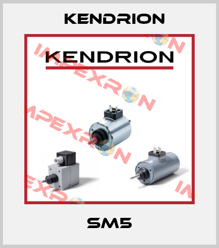 SM5 Kendrion
