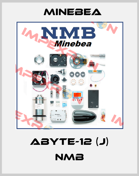 ABYTE-12 (J) NMB Minebea