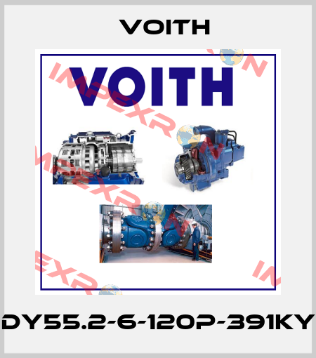 DY55.2-6-120P-391KY Voith