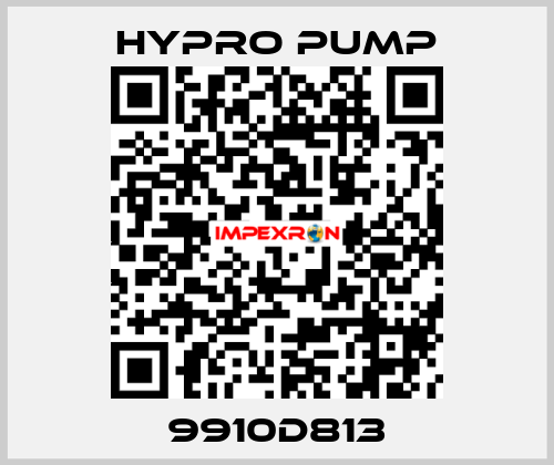 9910D813 Hypro Pump