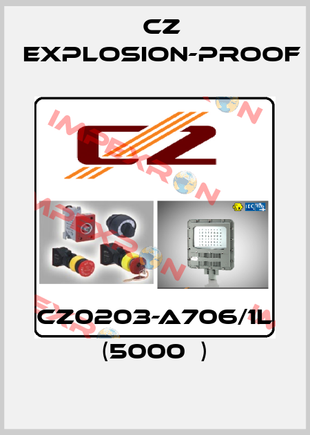 CZ0203-A706/1L (5000Ω) CZ Explosion-proof
