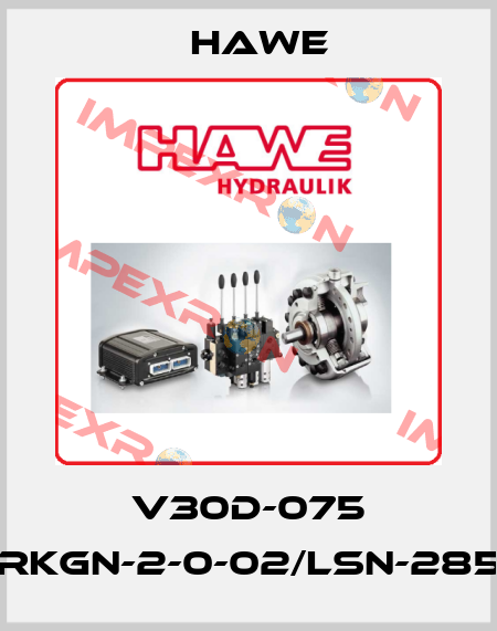 V30D-075 RKGN-2-0-02/LSN-285 Hawe