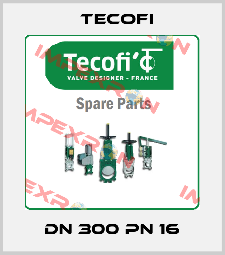 DN 300 PN 16 Tecofi