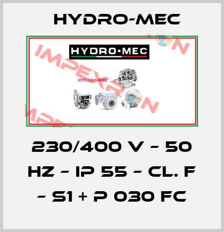 230/400 V – 50 HZ – IP 55 – Cl. F – S1 + P 030 FC Hydro-Mec