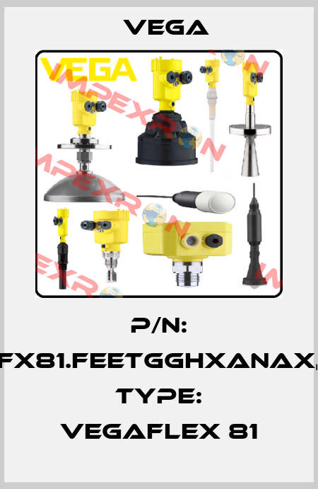 P/N: FX81.FEETGGHXANAX, Type: VEGAFLEX 81 Vega