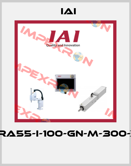 RC5-RA55-I-100-GN-M-300-X10-B  IAI