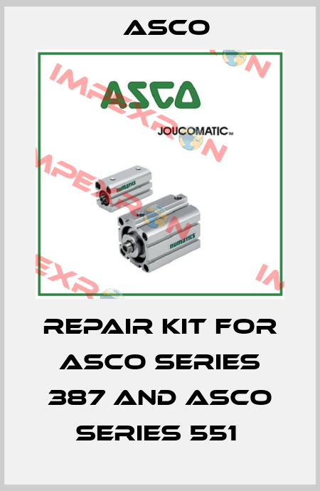 repair kit for asco series 387 and asco series 551  Asco