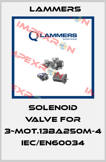 Solenoid valve for 3~Mot.13BA250M-4 IEC/EN60034 Lammers