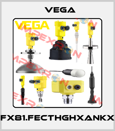 FX81.FECTHGHXANKX Vega
