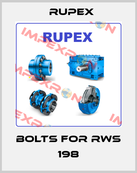 Bolts For RWS 198 Rupex