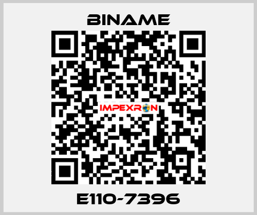 E110-7396 BINAME