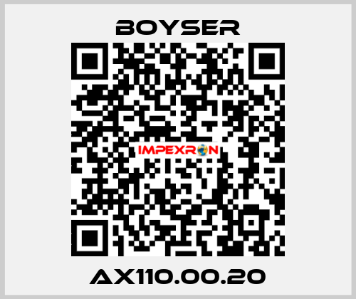 AX110.00.20 Boyser