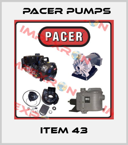 item 43 Pacer Pumps